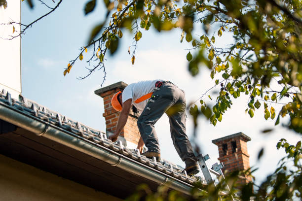Best New Roof Installation  in Palo Alto, CA